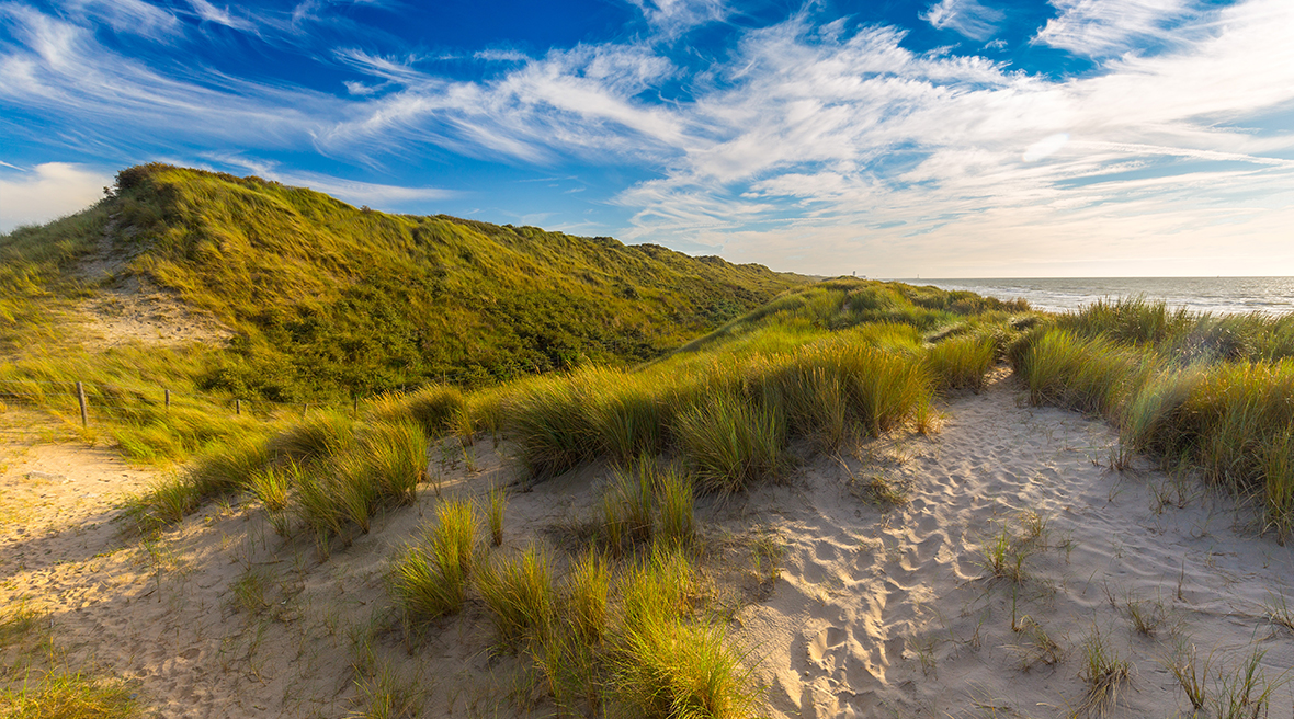 grassy sand dunes under a blue and white sky as the sun sets on the beach